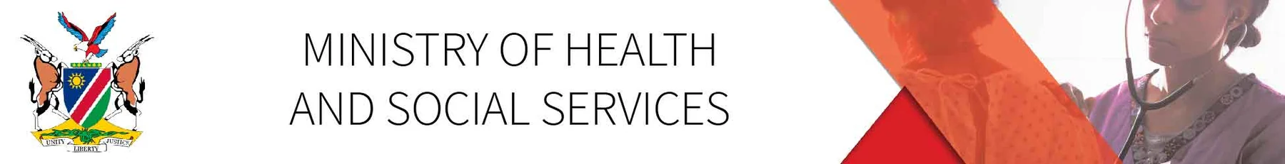 Ministry Of Health And Social Services — view organisation