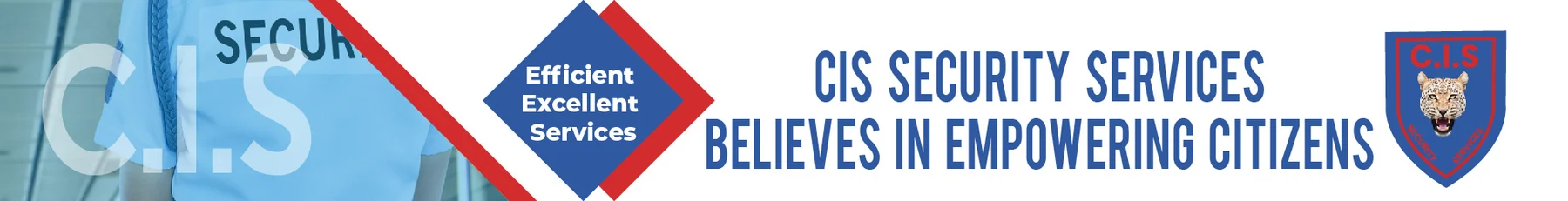 CIS Security Services — view organisation