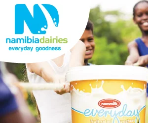 Namibia Dairies artwork