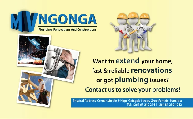 M.V Ngonga Plumbing, Renovations And Constructions — view organisation