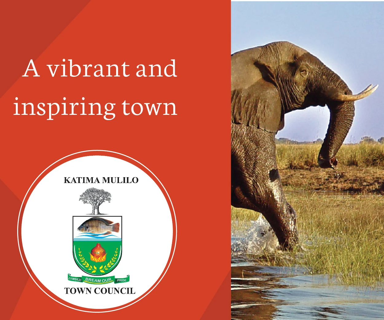 Katima Mulilo Town Council artwork