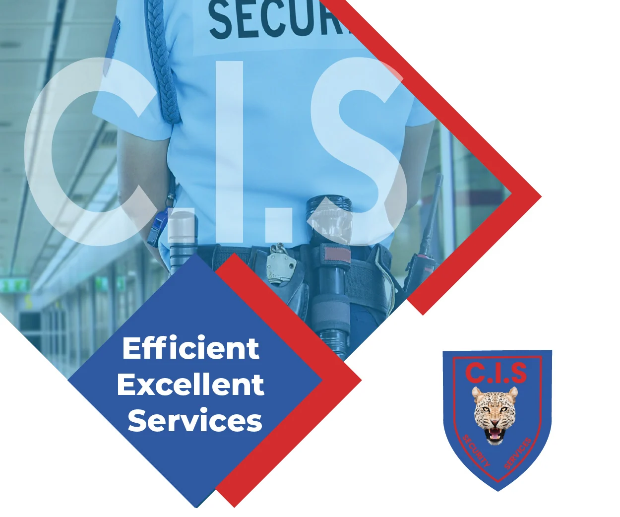 CIS Security Services