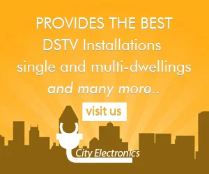 CITY ELECTRONICS — view organisation