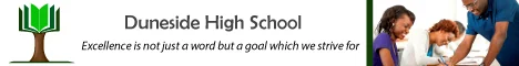 Duneside High School — view organisation