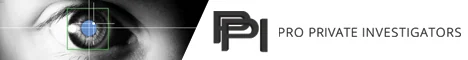 Pro Private Investigators — view organisation