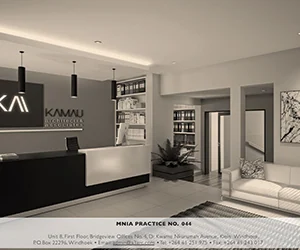 Kamau Architects and Associates — view organisation