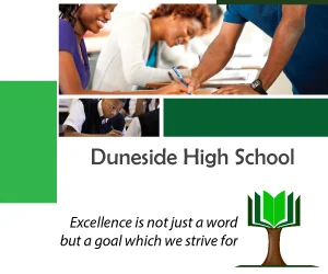 Duneside High School — view organisation