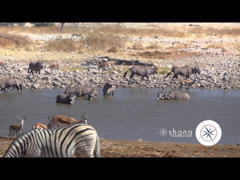 Oshana Transfers And Tours video preview